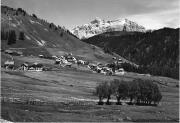 bosco (Positivo) di Foto Edizioni Ghedina (1950/01/01 - 1979/12/31)