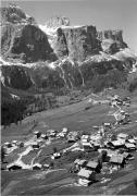 bosco (Positivo) di Foto Edizioni Ghedina (1950/01/01 - 1962/07/02)