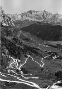 bosco (Positivo) di Foto Edizioni Ghedina (1950/01/01 - 1979/12/31)
