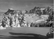 Wald/Bäume, Winter (Positivo) di Foto Edizioni Ghedina (1950/01/01 - 1969/12/31)