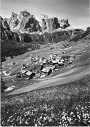 prato (Positivo) di Foto Edizioni Ghedina (1950/01/01 - 1969/12/31)