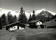 malga (Positivo) di Foto Edizioni Ghedina (1960/01/01 - 1979/12/31)