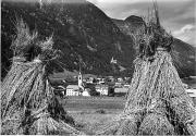 Getreidefeld (Positivo) di Foto Edizioni Ghedina (1950/01/01 - 1969/12/31)