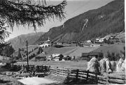 Getreidefeld (Positivo) di Foto Edizioni Ghedina (1950/01/01 - 1969/12/31)
