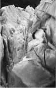 Schneefelder (Positivo) di Foto Edizioni Ghedina (1950/01/01 - 1969/12/31)