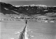 bosco (Positivo) (1950/01/01 - 1969/12/31)