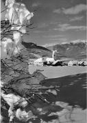 prato (Positivo) di Foto Edizioni Ghedina (1950/01/01 - 1969/12/31)