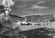 prato (Positivo) di Foto Edizioni Ghedina (1950/01/01 - 1969/12/31)