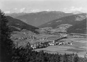 bosco (Positivo) (1950/01/01 - 1969/12/31)