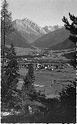 bosco (Positivo) (1950/01/01 - 1969/12/31)