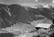 bosco (Positivo) di Foto Edizioni Ghedina (1950/01/01 - 1962/07/73)