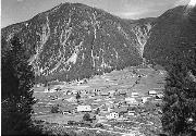 bosco (Positivo) di Foto Edizioni Ghedina (1950/01/01 - 1962/07/73)