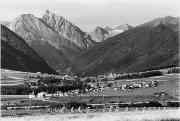 Getreidefeld (Positivo) di Foto Edizioni Ghedina (1950/01/01 - 1969/12/31)