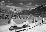 prato (Positivo) di Foto Edizioni Ghedina (1950/01/01 - 1969/12/31)