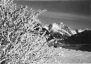 Motiv: Winter (Positivo) (1950/01/01 - 1969/12/31)