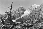 Bergsee (Positivo) di Foto Edizioni Ghedina (1950/01/01 - 1969/12/31)