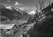 bosco (Positivo) di Foto Edizioni Ghedina (1950/01/01 - 1962/07/73)