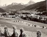 bosco (Positivo) di Foto Sandro Saltuari, Bozen (1950/01/01 - 1969/12/31)