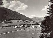 bosco (Positivo) (1950/01/01 - 1969/12/31)