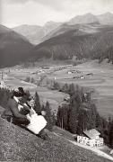bosco (Positivo) (1950/01/01 - 1969/12/31)