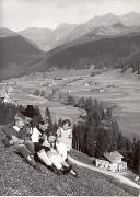 bosco (Positivo) (1950/01/01 - 1969/12/31)
