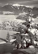 Wald/Bäume, Winter (Positivo) di Foto Edizioni Ghedina (1950/01/01 - 1969/12/31)