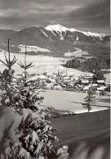 Wald/Bäume, Winter (Positivo) di Foto Edizioni Ghedina (1950/01/01 - 1969/12/31)