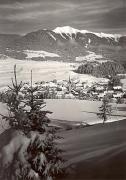 Wald/Bäume, Winter (Positivo) di Foto Edizioni Ghedina (1950/01/01 - 1969/12/31)