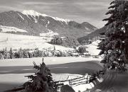 prato (Positivo) di Foto Edizioni Ghedina (1950/01/01 - 1969/12/31)