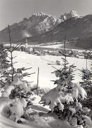 Wald/Bäume, Winter (Positivo) di Foto Edizioni Ghedina (1950/01/01 - 1969/12/31)