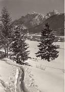 prato (Positivo) di Foto Edizioni Ghedina (1950/01/01 - 1969/12/31)