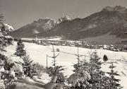 Wald/Bäume, Winter (Positivo) di Foto Edizioni Ghedina (1950/01/01 - 1969/12/31)