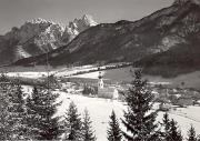 Wald/Bäume, Winter (Positivo) di Foto Edizioni Ghedina (1950/01/01 - 1969/12/31)
