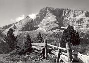Zirbe (Positivo) di Foto Edizioni Ghedina (1950/01/01 - 1969/12/31)