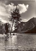 Bergsee (Positivo) di Foto Edizioni Ghedina (1950/01/01 - 1969/12/31)