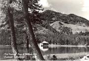 Bergsee (Positivo) di Foto Edizioni Ghedina (1950/01/01 - 1969/12/31)