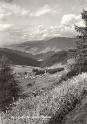 prato (Positivo) di Foto Edizioni Ghedina (1950/01/01 - 1969/12/31)