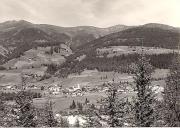 bosco (Positivo) (1950/01/01 - 1969/12/31)