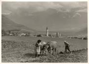 Bauer(in) / Landarbeiter(in) (Positivo) (1960/01/01 - 1979/12/31)