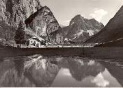 rifugio (Positivo) (1950/01/01 - 1969/12/31)