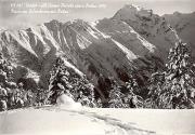 Wald/Bäume, Winter (Positivo) di Foto Edizioni Ghedina (1950/01/01 - 1969/12/31)