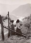 vigneto (Positivo) di Foto Müller-Brunke, Grassau (D) (1950/01/01 - 1979/12/31)