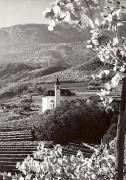chiesa (Positivo) di Foto Hermann Frass, Bozen (1950/01/01 - 1979/12/31)