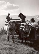 Wagen (von Tieren gezogen) (Positivo) di Foto H. Müller-Brunke, Grassau (1950/01/01 - 1969/12/31)