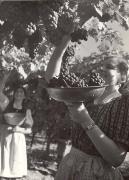 donna (Positivo) di Foto Hermann Frass, Bozen (1950/01/01 - 1969/12/31)