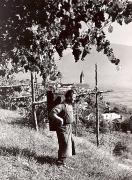 Winzer (Positivo) di Foto H. Müller-Brunke, Grassau (1950/01/01 - 1969/12/31)