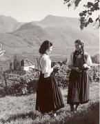 donna (Positivo) di Foto Hermann Frass, Bozen (1950/01/01 - 1969/12/31)