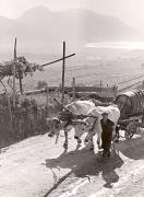 Wagen (von Tieren gezogen) (Positivo) di Foto H. Müller-Brunke, Grassau (1950/01/01 - 1969/12/31)