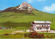 Alpenrose (Positivo) di Foto Lovato, Bozen (1950/01/01 - 1969/12/31)