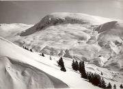 Motiv: Winter (Positivo) di Foto Hermann Frass, Bozen (1950/01/01 - 1979/12/31)